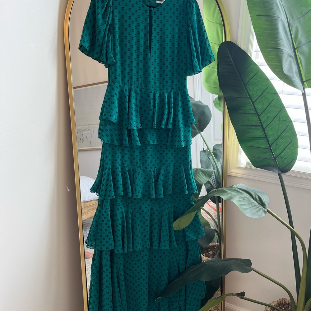 Tularosa Ruffled Maxi Dress - Picture 3 of 9